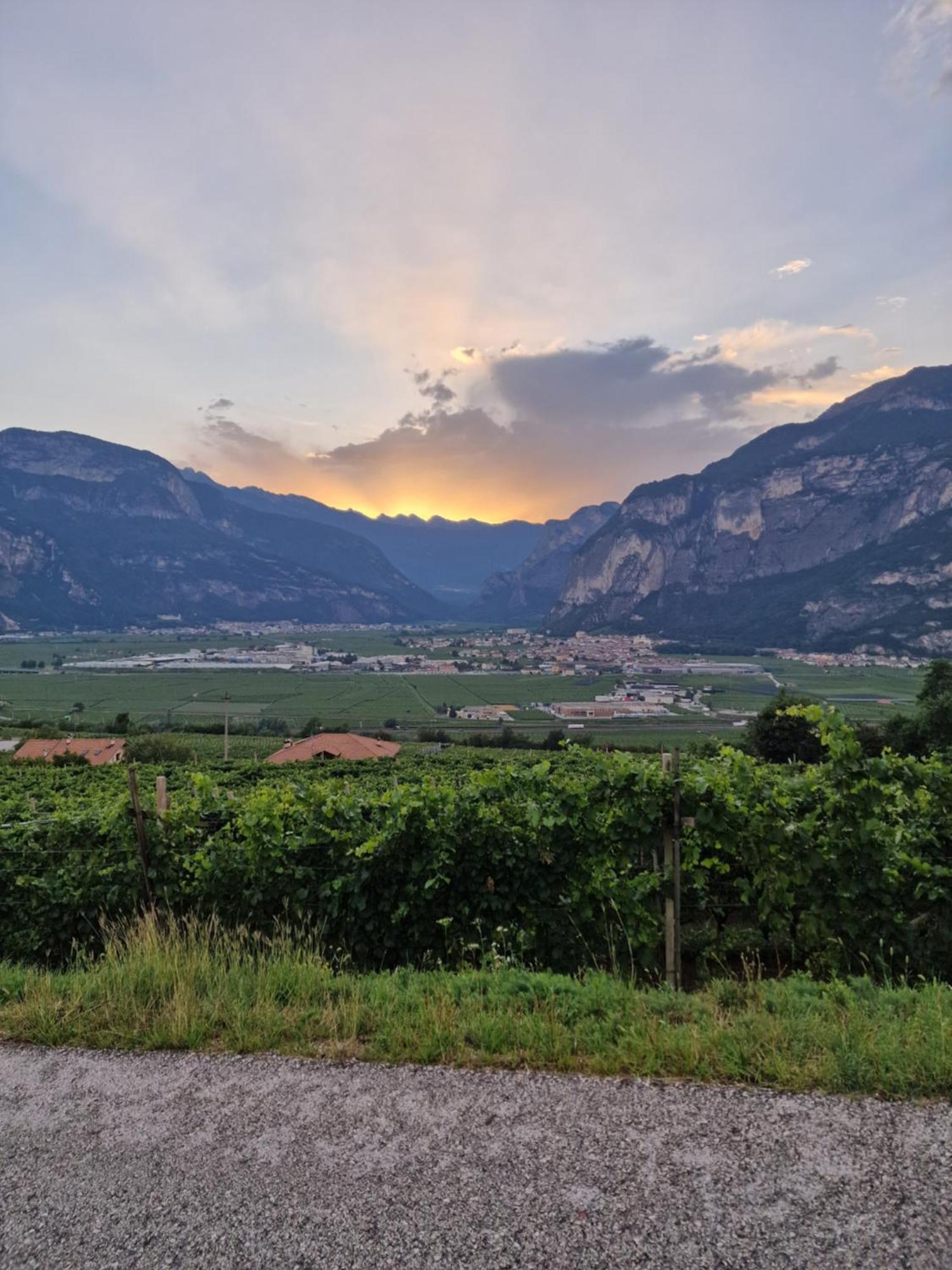 Hotel Garni La Vigna - Adult Friendly San Michele all'Adige Exterior photo